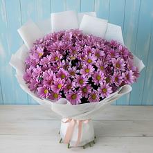 Букет цветов из:  Хризантемы в Мартюше
