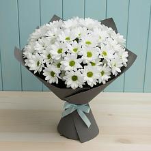 Букет цветов из:  Хризантемы #REPLACE_PRED# Мартюше